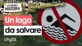 Da paradiso a DISCARICA: la storia del LAGO DI VARESE