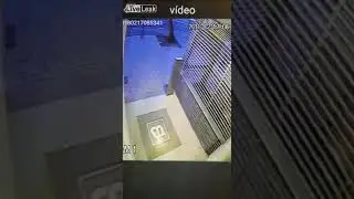 Вот почему Американцев называют засранцами.