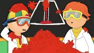 Caillou's First Science Fair | Caillou | WildBrain Little Ones