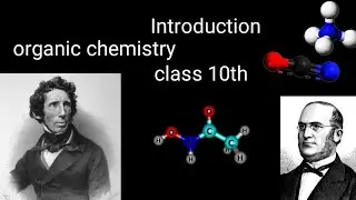 organic chemistry introduction|Chapter 11|Class 10