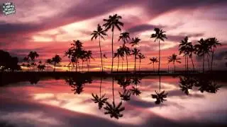 【Future Bass】Shifu - Hawaii