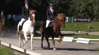IPZV, Futurity  Roderath 2023 , Mix, Dirty PawsOf Monsters and Men, Islandpferde Turnier