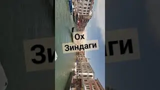 Замона
