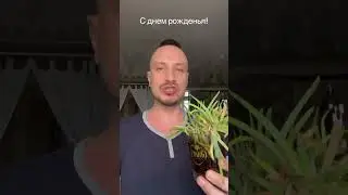 🪴 С днём рождения!