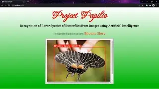 Full stack multiple custom object recognition using YOLOv4 (60+ hours of training), Flask, JS