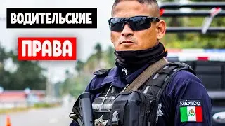 ХОЧЕШЬ -50% в XCARET? Получай мексиканские водительские права