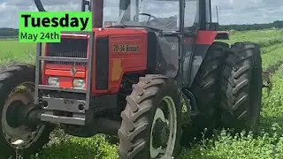 4 Acres gone to waste. Disking on my Birthday. Episode 1