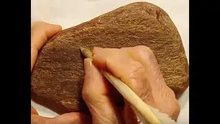 CHRYSOGRAPHIE 