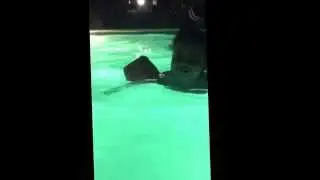 Irelyn swimming