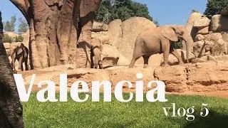 ТИПА ВЛОГ : Валенсия часть5 Bioparc
