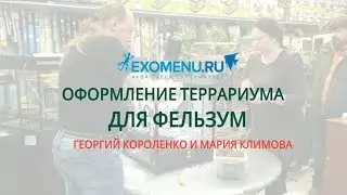 Оформление террариума для фельзум в EXOMENU.