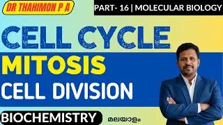 Cell Cycle  Malayalam Mitosis Malayalam Cell Cycle Phases in Malayalam