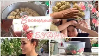 #ВЛОГ