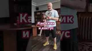 Как ежик и кактус #поэзия21века #школа #учеба #мудрость #психология #поэзия #образование #ученики