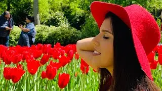 Park de Tulipas na Holanda 🇳🇱
