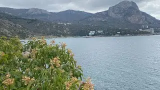 ТУРЕЦКАЯ ПОЛЯНА. ОШАЛЕТЬ! Что случилось с этим местом? Крым.