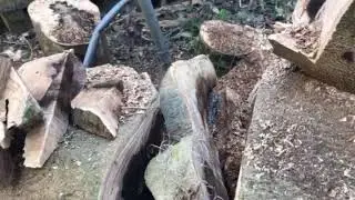 Little Chainsaw - Big Tree Trunk - cutting through a big tree trunk with a small saw with no pinchi