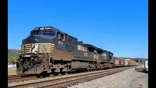 NS T45 SB in Rockwood, TN with THB D9W duo