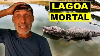 PEGUEI EM UM JACARÉ NO PANTANAL DO MATO GROSSO DO SUL (TP01 EP39)