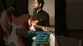 I just changed my bass strings - D'Addario pro steel