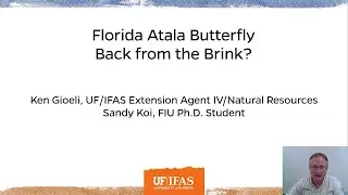 UF/IFAS Extension St Lucie County - Florida Atala Butterfly Back from the Brink