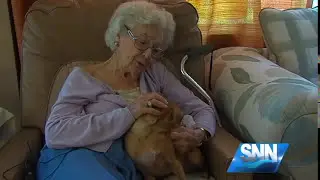 SNN: Sarasota Man Helps 90-year-old Neighbor in Need