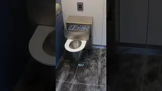 Genius Self-Cleaning Toilet