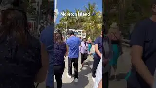 #travel #australia #moretonisland #travelvlog