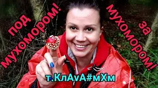 I'm going to the forest for fly agaric! Under the fly agaric! Eating raw fly agaric! My trip repo...