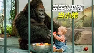 熊孩子智商250，認怪獸之王金剛當小弟，把三個笨賊整慘了，喜劇，搞笑，獵奇，電影，解說