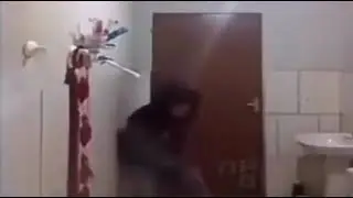 Мышь ловит кота )