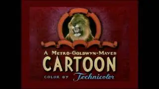 Tom & Jerry - Salt Water Tabby