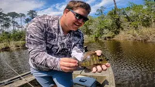 Early Spring Bream Fishing with Crickets