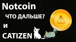 Notcoin что дальше? Catizen новый хит на экосистеме TON