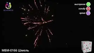 МБМ 0166 Шмель
