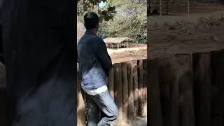 Salman khan nam se ab hiran nahi darenhe #salmankhan #deer