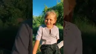 Українська поезія. Ліна Костенко. Вечірнє сонце. Про красу та вдячність