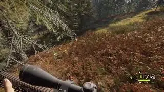 Hunter call of the wild. Let's do some missions.