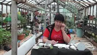 Подготовка семян 2020 часть 2