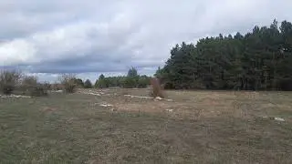 Караби мы приехали !
