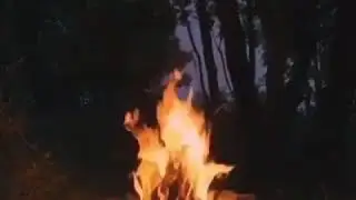 Билал - Дас Нанас доьзал лар барх лаьцна  mp4