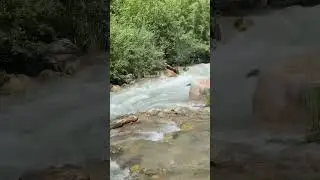 #горнаярека