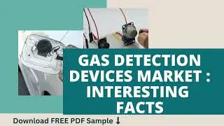 Gas Detection Devices Market  Interesting  facts