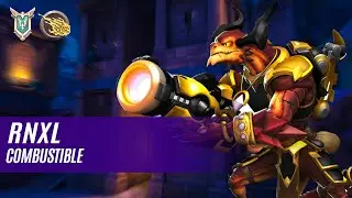 RNXL DROGOZ PALADINS COMPETITIVE (MASTER) COMBUSTIBLE