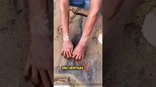 Entonces, nunca te pierdas esta cosa.