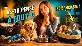 ESSENTIAL GEAR FOR YOUR DOG!