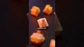 New BUDGET switch from Gateron?! EF Curry 🍛 