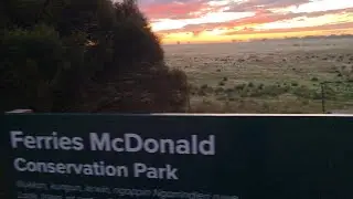 Aussie Bonsai Bloke gone walk about, Ferries Mcdonald Conservation Park
