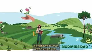 ¿Por qué es importante la biodiversidad en tu cultivo?