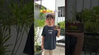 nama gamenya apa bang?!😩 